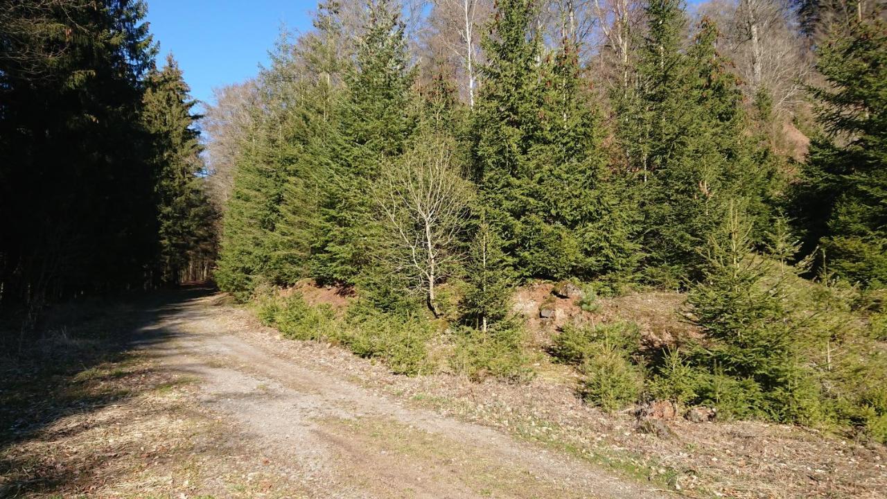 Gaestehaus Ballmann 2 Rockeskyll Kültér fotó